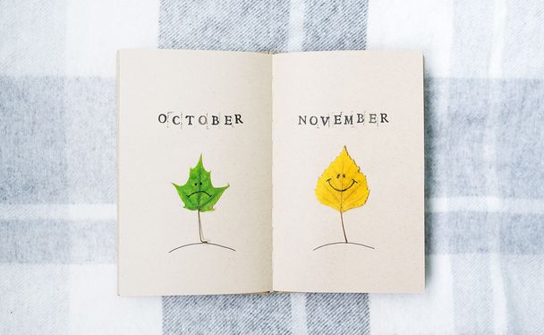 Cuaderno abierto, sonrisas otoñales. Las hojas del abedul y el arce. Octubre. Noviembre
. - Foto, imagen