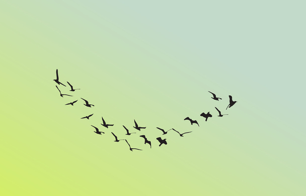 Птахи летять у формі з теплим тоном
 - Вектор, зображення