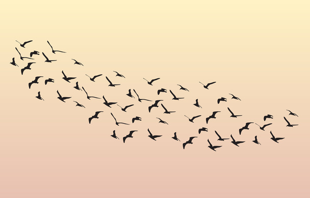 Стая гусей, летящих на рассвете в небе
 - Вектор,изображение