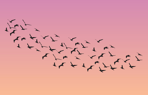 sok madár repül az égen, természet sorozat - Vektor, kép