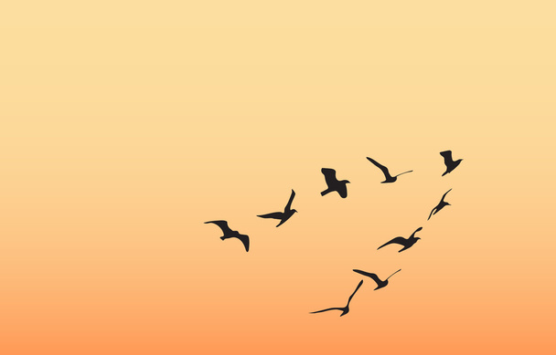 a flock of birds at dawn, the sun - Vector, Image