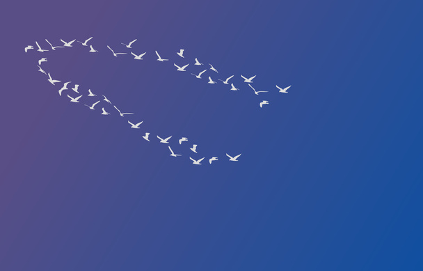Siluetas de aves voladoras, ilustración vectorial
 - Vector, imagen