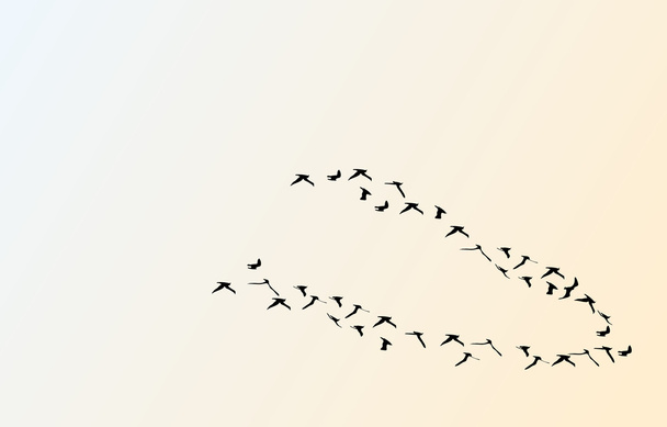 A repülő madarak, vektoros illusztráció sziluettek - Vektor, kép
