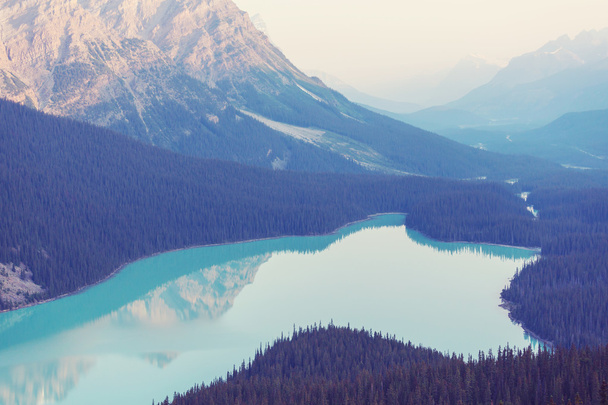 Peyto lake in Canada - Фото, изображение