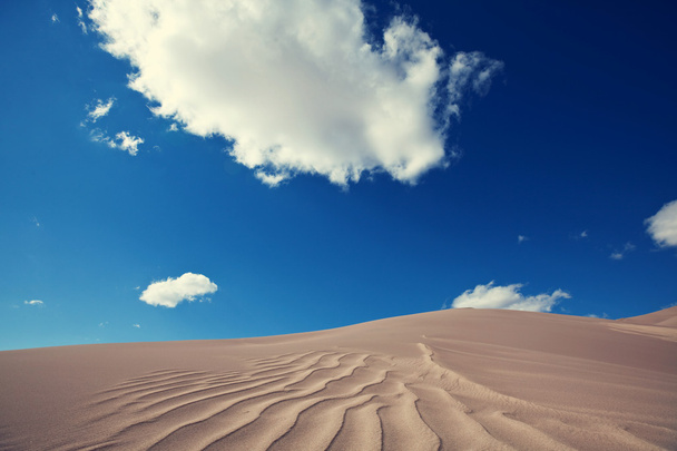 sand dunes in desert - 写真・画像