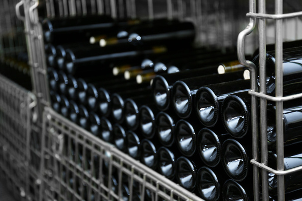 Bottles with wine on shelves in cellar - Foto, imagen
