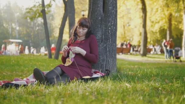 Hermosa mujer embarazada en el parque de otoño hacer agujas de punto hobby
 - Imágenes, Vídeo