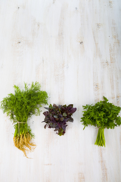Parsley, dill and basil - 写真・画像