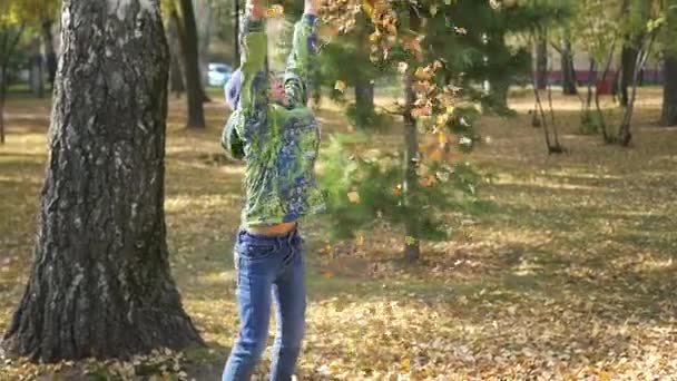 het kind gooit over een gele bladeren in het park - Video