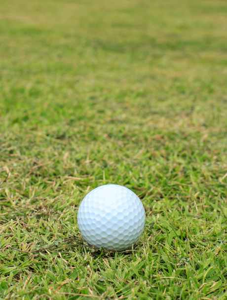 Piłki golfowe w trawie - Zdjęcie, obraz