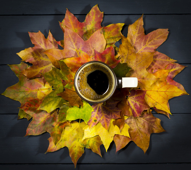 Café taza en el fondo de las hojas de otoño
. - Foto, imagen