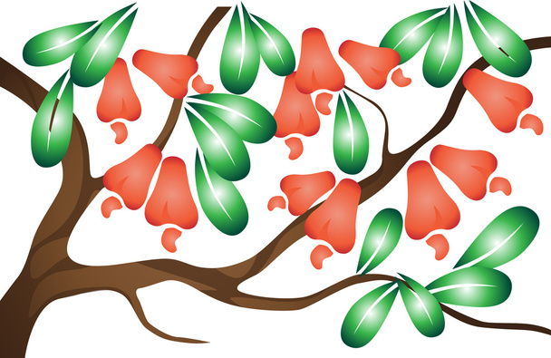 Árvore de goiaba com ilustração de desenho animado de vetor de folha em fundo branco
 - Vetor, Imagem