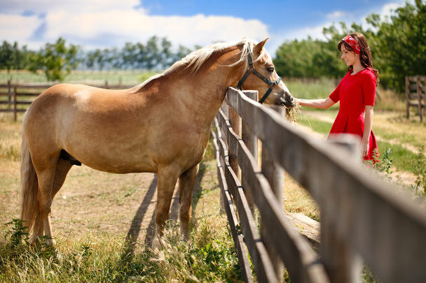 Smiling girl with horse - Photo, image