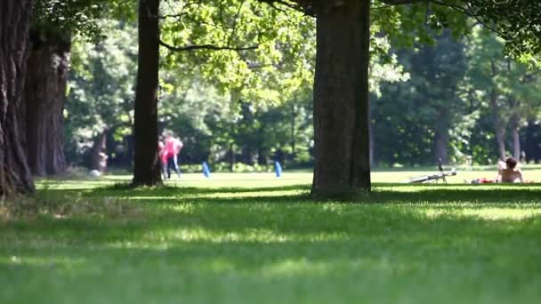 Leisure summer activity and dog in a park scene - Video