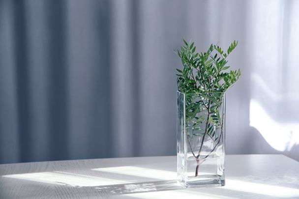 Green twig in glass vase on wooden table indoors - 写真・画像