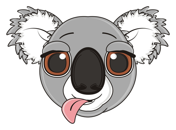 muzzle of koala - Foto, afbeelding