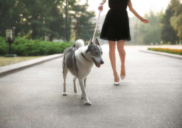 Young beautiful woman walking with dog outside - Фото, изображение