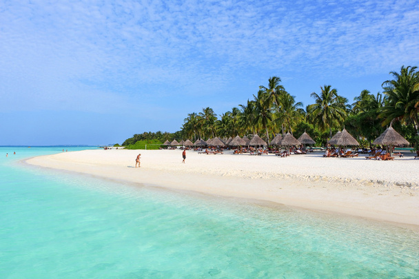 playa blanca con palmeras de coco y bungalows en las Maldivas
 - Foto, Imagen