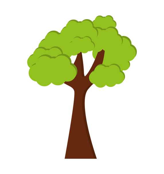 tree plant forest isolated icon - Vetor, Imagem