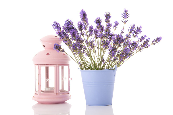 Garden Lavender and lantern - Foto, immagini