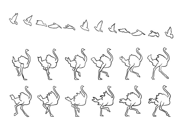 Paloma y avestruz enmarcados volar y caminar
 - Vector, imagen
