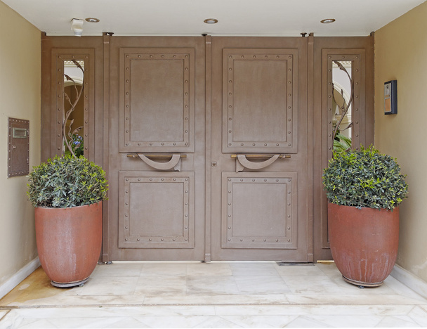 house entrance with double flowerpots - Photo, Image