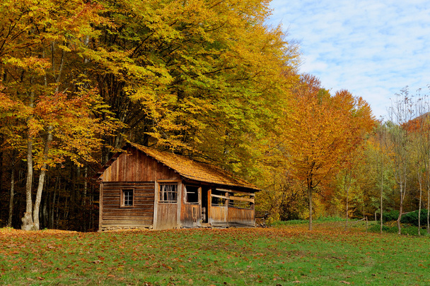 casa sola en otoño montaña
 - Foto, imagen