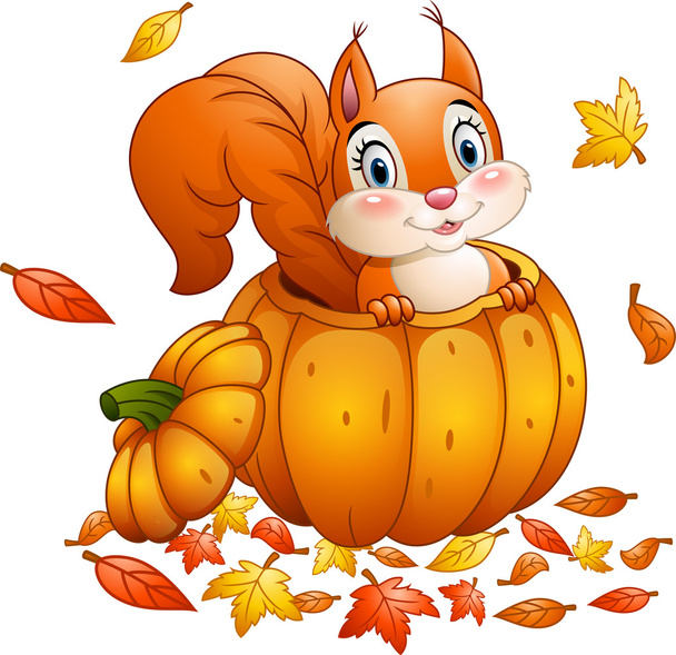 Cute squirrel in a pumpkin - Vector, Image