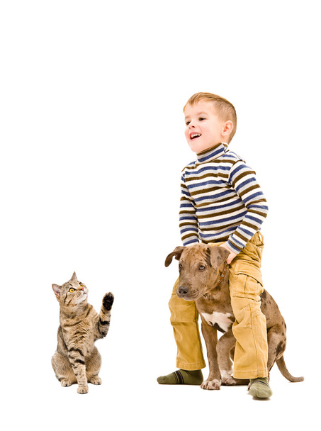 Cheerful child playing with a puppy Pitbull and cat  - Fotó, kép