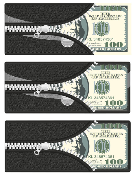 Hundert Dollar im Portemonnaie mit offenem Reißverschluss - Vektor, Bild