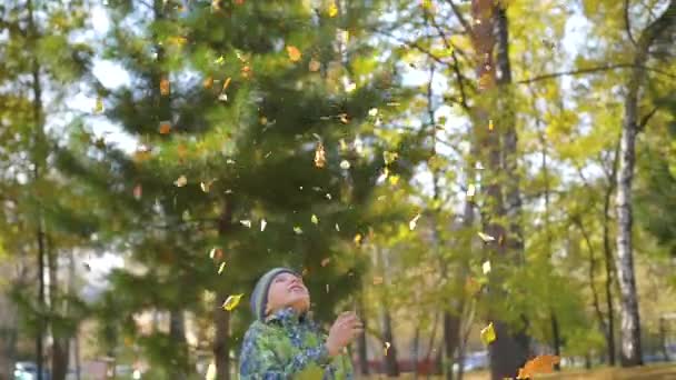 το παιδί που ρίχνει επάνω πέρα από ένα κίτρινα φύλλα στο πάρκο - Πλάνα, βίντεο