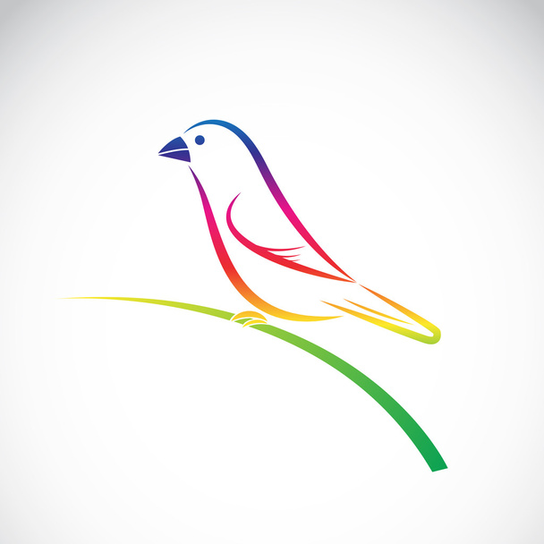 Vector of ricebird on white background. Bird Icon. - Vector, Image