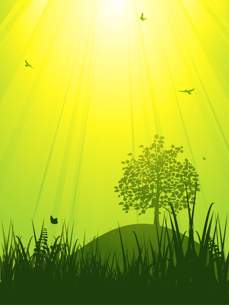 Zöld táj, a nap alatt - Vektor, kép