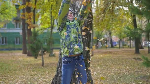 το παιδί που ρίχνει επάνω πέρα από ένα κίτρινα φύλλα στο πάρκο - Πλάνα, βίντεο
