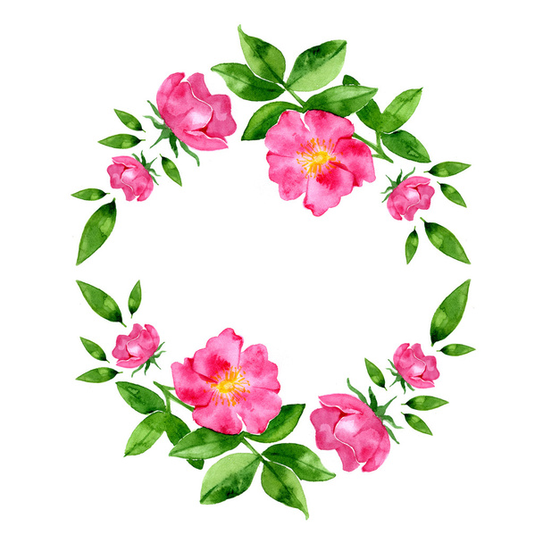Watercolor hand drawn wild rosehip flower and leaves round wreath. - 写真・画像