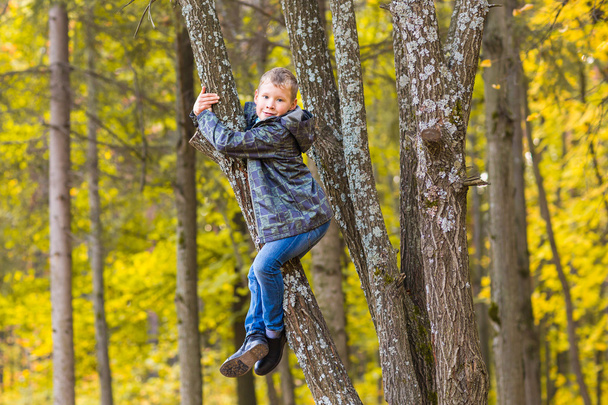 笑みを浮かべて少年を公園の木に登った - 写真・画像