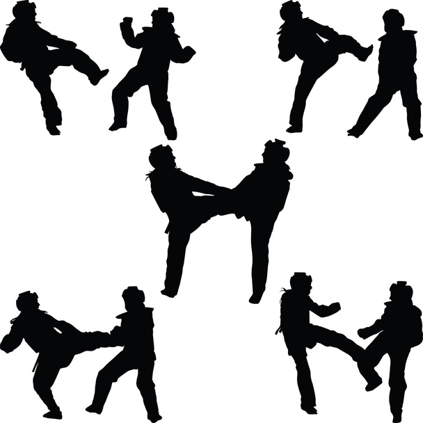 vector de silueta mujer taekwondo
 - Vector, imagen