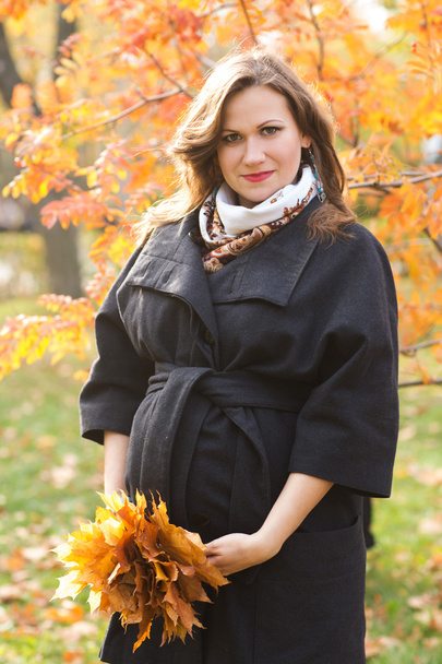 beautiful smiling pregnant woman is standing in the autumn park - Fotó, kép