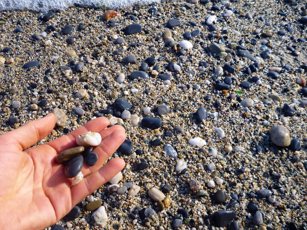 piccole pietre in una mano su una spiaggia
 - Foto, immagini