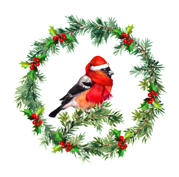 Christmas wreath - fir, mistletoe and bullfinch bird in santa hat. Watercolor - Fotoğraf, Görsel