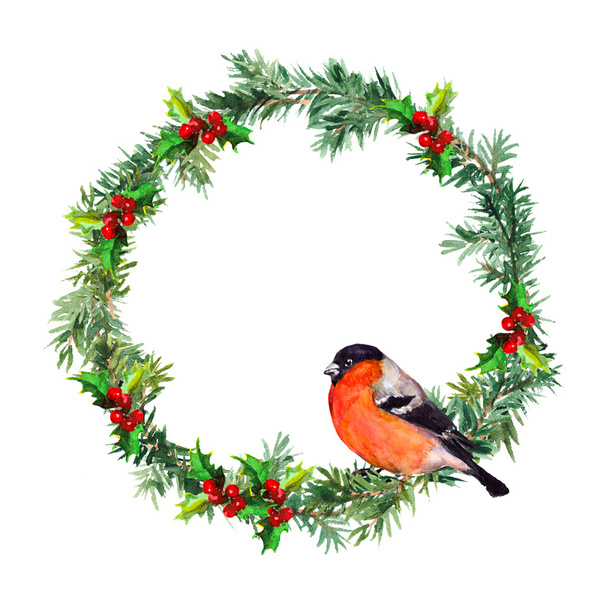New year wreath - spruce and bullfinch bird. Watercolor - Foto, immagini