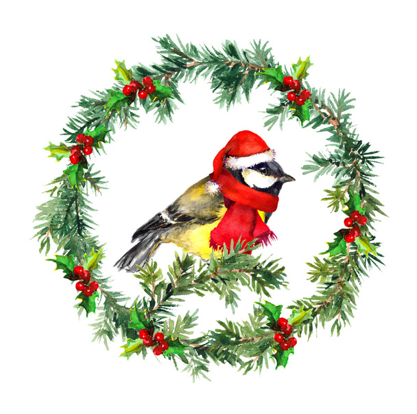 Christmas wreath - fir, mistletoe and tit bird in red hat. Watercolor - 写真・画像