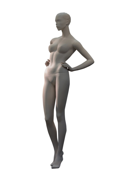 upright female mannequin against white - Photo, Image