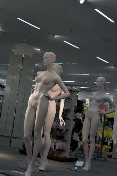rechtop vrouwelijke mannequins - Foto, afbeelding