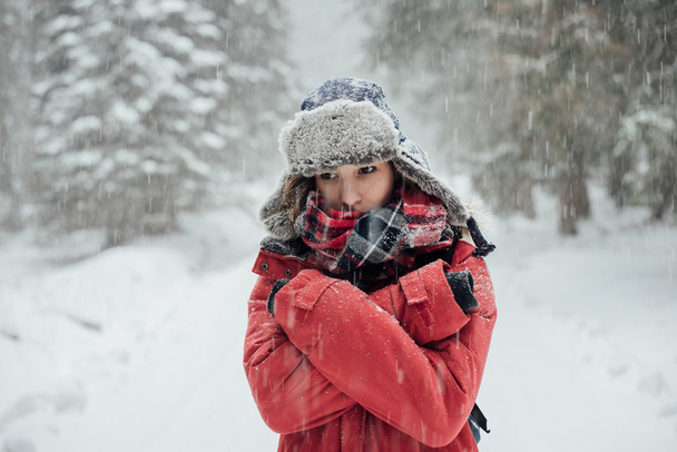 Winter portret, jonge vrouw in winter forest - Foto, afbeelding