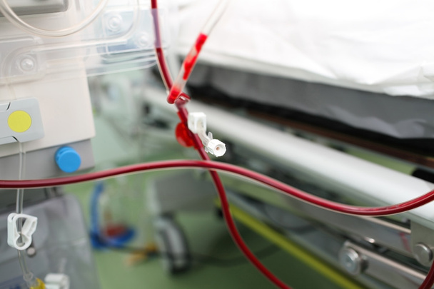 Tubos llenos de sangre para transfusión
 - Foto, Imagen