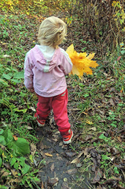 Chica en el bosque con un montón de hojas amarillas
 - Foto, imagen