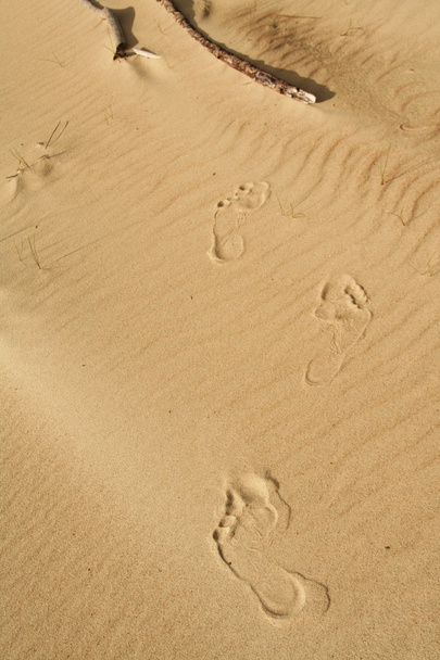 Ludzkich stóp na piasku 8 - Zdjęcie, obraz
