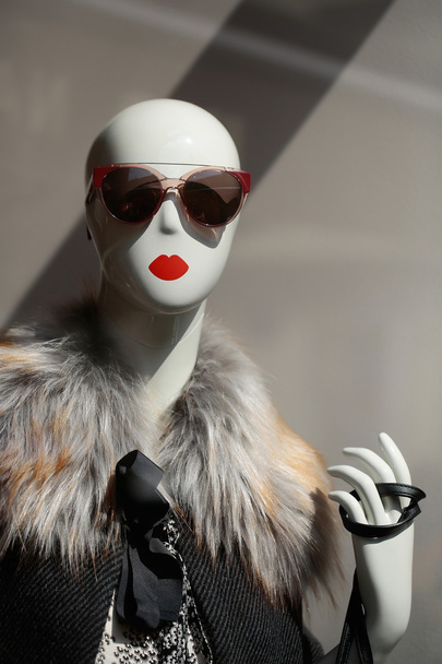 Fashion female mannequin - Fotografie, Obrázek