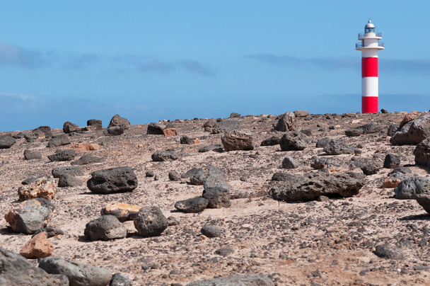 Fuerteventura: rocce e vegetazione con il faro di El Toston sullo sfondo
 - Foto, immagini